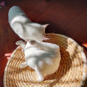 Natural hecho a mano ecológico maíz cáscara paja gato nido mascota cama para dormir - Product Image 2