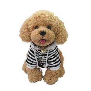 Soft <strong>Toys</strong> Wholesale,kipper the Dog Soft <strong>Toy</strong> with Clothes,stuffed <strong>Toy</strong> <strong>Poodle</strong> - Product Image 2