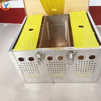 Cage de transport pour oiseaux à 3 trous, boîtes, caisses pour le transport de pigeons, de cailles et d'oiseaux