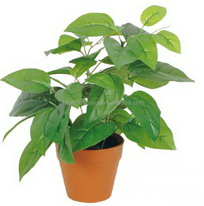 Vente en gros d'étoffes décoratives, fausses plantes en plastique haut <span class=keywords><strong>de</strong></span> gamme, épimpremnum Aureum, bonsaï, LS16070443 - Product Image 3