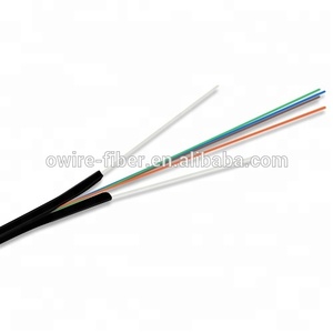 Fiber to <span class=keywords><strong>the</strong></span> home ftth kabel 1 2 4 faser optional LSZH Jacke - Product Image 4