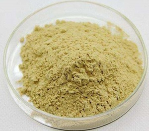 Extrait de soja naturel halal de haute qualité Glycine Max (L.) Merr. 10:1 - Product Image 1