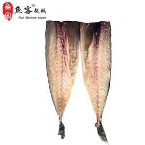 Máquina comercial de fileteo/rebanado de pescado, cortadora de vientre de pescado mediano, filetes de corte de caballa, en venta - Product Image 2