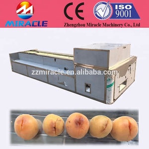 Mơ và Đào Đá Tách Hạt Nhân Loại Bỏ và Một Nửa Cắt Máy - Product Image 5