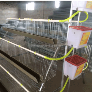 Jaula de colocación de batería de pollo criador tipo capa a la venta para el <span class=keywords><strong>mercado</strong></span> de Nigeria - Product Image 2