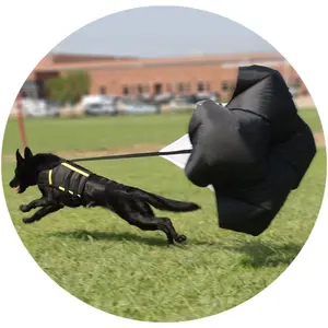 Weerstand Parachute Bevestiging voor De Vest, Verbeteren Uw Honden Workout, Training, Gezondheid