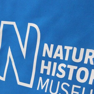 Sedex ตรวจสอบนำมาใช้ใหม่และทนทานโฆษณาราคาถูกผ้าไม่ทอพกถุง - Product Image 6