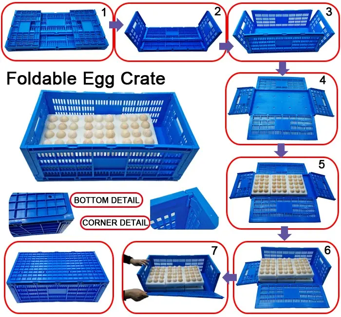 انضم إلى أحدث تصميم كرتونة بيض بلاسيتيكية البلاستيك حاضنة صينية بيض الدجاج التعبئة القابلة لإعادة الاستخدام قفص 30 بيضة