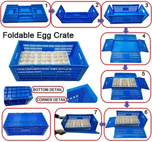 JOIN Newest Design Plastic Egg Tray Plastic Incubator Chicken Egg Tray Reusable <strong>Packing</strong> <strong>Crate</strong> for 30 Eggs - Product Image 6