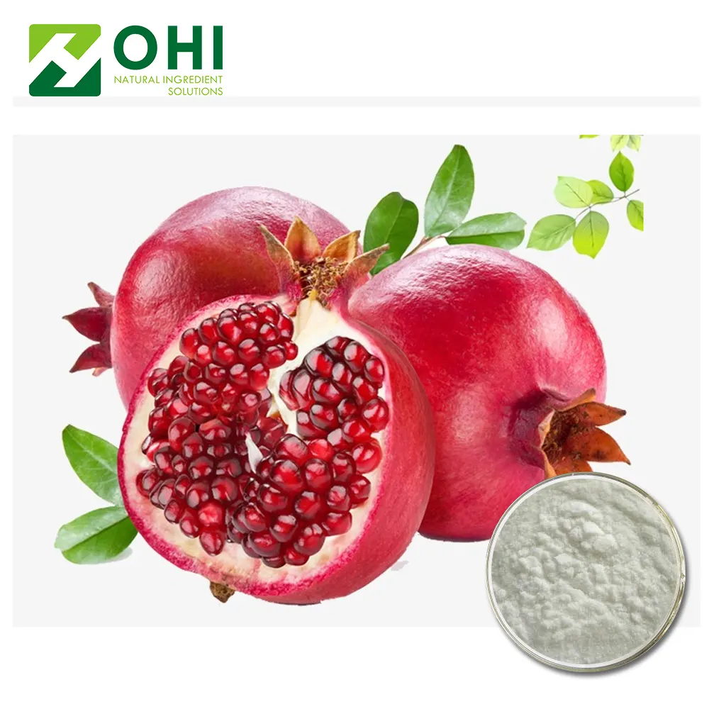 Specifica HPLC 90% Punica Granatum L Melograno Estratto in polvere Punicalagin Ab Acido Ellagico