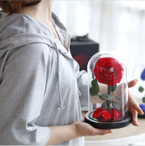Rosas Eternas de Color Rojo Vino al por Mayor, Rosas Preservadas en Cúpula de Cristal para el Día de San Valentín - Product Image 3