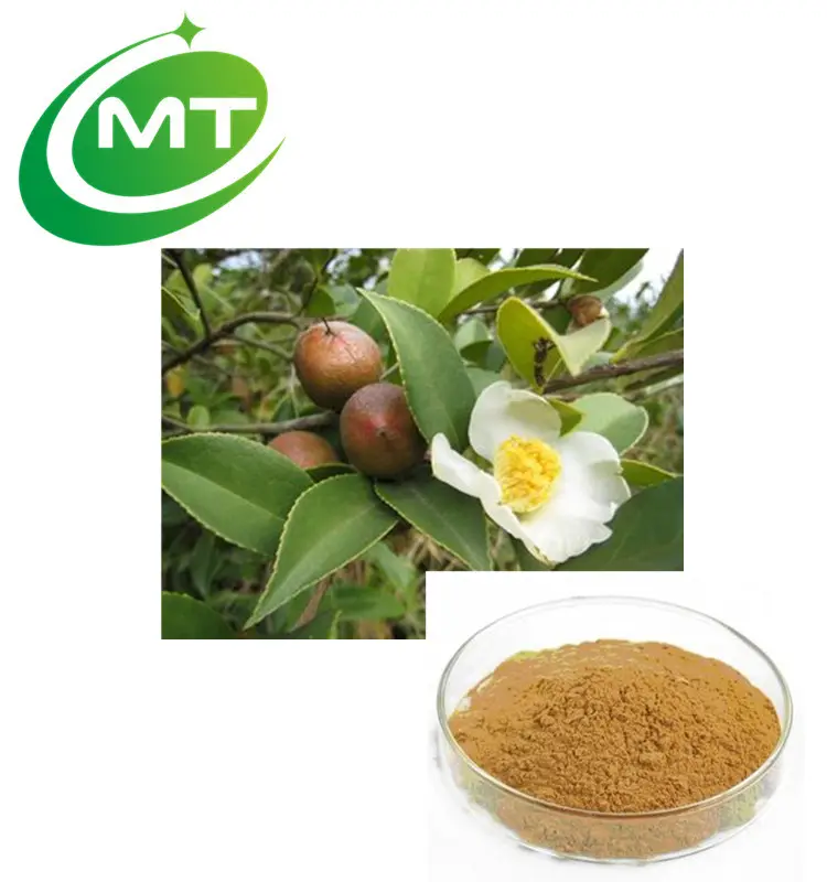 100% Natuurlijke Biologische Bulkprijs China Beste Kwaliteit Landbouw Camellia Zaad Extract Thee Extract 90% Thee Saponine