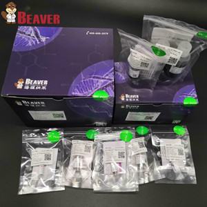 Microesferas magnéticas recubiertas de sílice reactivo bioquímico, microesferas magnéticas para extracción de ácido nucleico (-OH) 500nm - Product Image 3