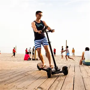 8.5Inch Trung Quốc Electric Skate Electric Scooter Max Tải 120Kg Nóng Bán Tại Đức