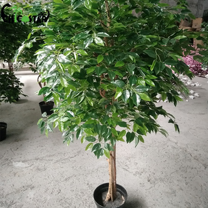 <span class=keywords><strong>Arbre</strong></span> <span class=keywords><strong>artificiel</strong></span> en bois écologique de 2 m de hauteur, type banyan, pour la décoration intérieure, couleur personnalisée, haute qualité - Product Image 2