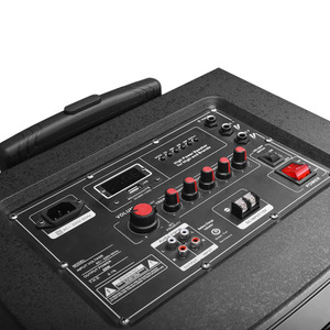 Chuyên nghiệp 100W đầu ra PA Loa RGB Hifi <span class=keywords><strong>woofer</strong></span> cho hoạt động karaoke bên nhà hát ngoài trời bao gồm bánh xe đẩy - Product Image 6