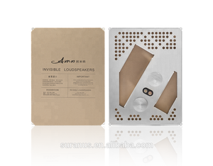 Hifi เสียงในร่มที่มองไม่เห็นลำโพงโฮมเธียเตอร์ AMN <span class=keywords><strong>A2</strong></span>เพดานลำโพง - Product Image 2