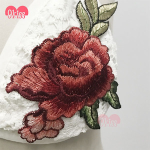 9 BESO Etiqueta Privada de Su Propia Marca de Encaje Sexy Bralette Lencería - Product Image 5
