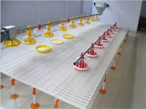 High Strength <strong>Poultry</strong> Shed Plastic Chick Broiler Plastic <strong>Slat</strong> Floorig Animal Chicken Farm Fowl <strong>Slat</strong> <strong>Net</strong> - Product Image 6