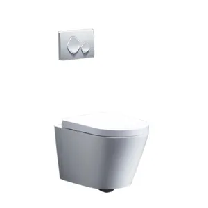 Hanging ceramic sanitary wc washdown flushing wall hung toilet with fitting