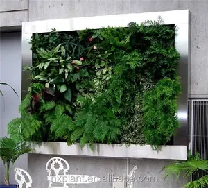 הנמכר ביותר צמח קיר אביזרים calla המלאכותי עלים צמח קיר