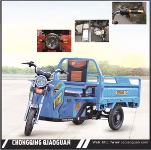 Chất Lượng Cao OEM 60V 800 Wát-1800 Wát Điện Cargo Ba Bánh 3 Bánh Xe Gắn Máy Từ Max SW Chn Nhà Máy