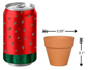 20 mini-pots en <span class=keywords><strong>terre</strong></span> <span class=keywords><strong>cuite</strong></span> de 5,3 cm – Pots de fleurs en céramique pour cactus et succulentes – Vente en gros - Product Image 2