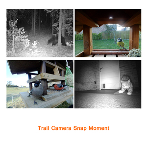 New 4 Gam LTE GPS Vị Trí IP66 Chống Thấm Ngoài Trời Động Vật Hoang Dã Săn Bắn Trail Camera Với Truyền Video - Product Image 6