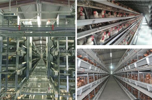 Volautomatische bouwen kip coops/batterij kooien legkippen/automatische gevogelte landbouwmachines - Product Image 6