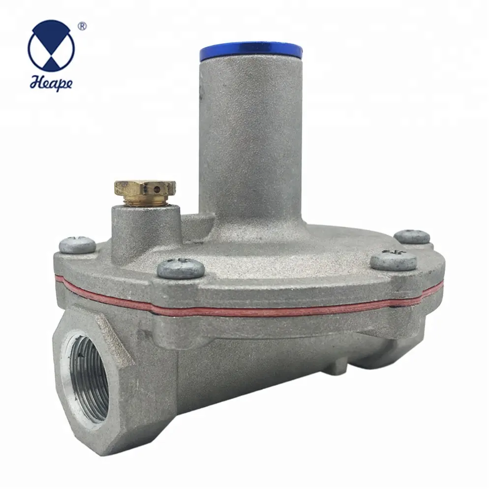 HEAPE Industrial Natural Gas Regulator 1/2"F*1/2"F Valve