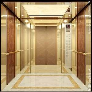 Poros Kecil Lift/Lift Rumah Kecil/Rumah Kecil Lift untuk 4 Orang - Product Image 6