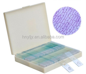 Toboganes de microscopio para enseñanza y aprendizaje, alta calidad y mejor <span class=keywords><strong>precio</strong></span> - Product Image 4