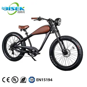 Bisek新设计电池动力复古EBike长范围强复古E自行车/豹纹电动自行车