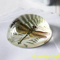 गुंबद के आकार क्रिस्टल Dragonfly Paperweight के लिए थोक आपूर्ति
