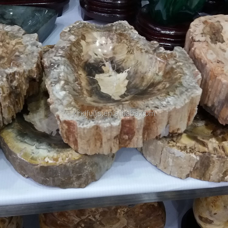 Natural Wood Fossil Slice Polished Wooden Petrified fossil Pieces for Deco · image 2