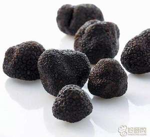 Detan fresco <span class=keywords><strong>trufa</strong></span> negro raro <span class=keywords><strong>hongo</strong></span> comestible - Product Image 5