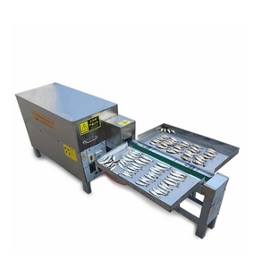 Automatic Fast Cutting Speed <strong>Fish</strong> <strong>Processing</strong> <strong>Machine</strong> - Product Image 1