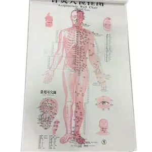 Acupuncture chart for teaching human acupoint chart ( 7 posters/set in English )