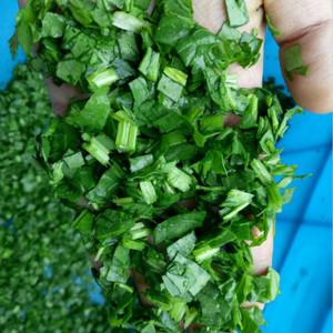 Công nghiệp xoắn ốc slicer rau/máy cắt khoai tây/rau mùi máy cắt - Product Image 3