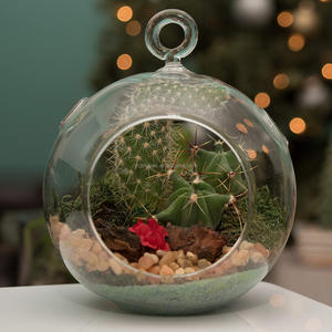 Fatto a mano Vaso di Vetro Trasparente Appeso Piante Terrario di Vetro del Display Da Tavolo Succulente Impianto di Aria Fioriera Globo - Product Image 3