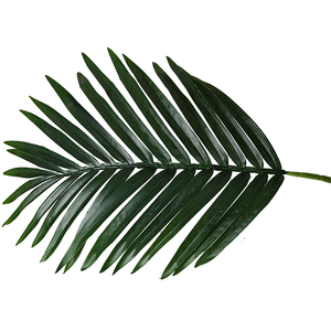 Eco-friendly PEVA 2.9 m Hotel Ornamentale di Plastica <span class=keywords><strong>Areca</strong></span> <span class=keywords><strong>Catechu</strong></span> Albero - Product Image 6