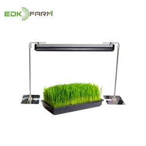 Bán Hot <span class=keywords><strong>Mini</strong></span> Hệ Thống Thủy Canh Nhà Vườn Thực Vật Nhựa Hạt Giống Nảy Mầm Khay Aeroponic Cho Microgreens - Product Image 4