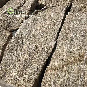 Rock gezicht tijger huid geel graniet losse stenen muur steen bakstenen