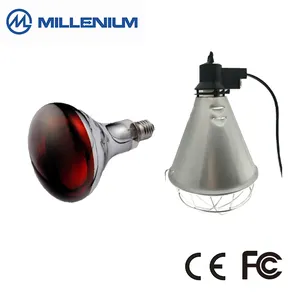 Wholesale High Quality Ir R125 Far Infrared Heating Lamp Light Equipment Of Chicken House Glass 240v/120v Millenium CN ZHE 10000
