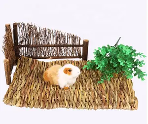 Petit tapis d'herbe tissée écologique pour animaux de compagnie jouet et tapis à mâcher pour petits animaux