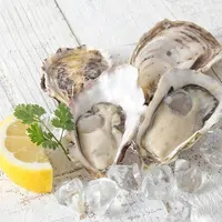 Buona Qualità congelati Half Shell Oyster vissuto oyster per la vendita