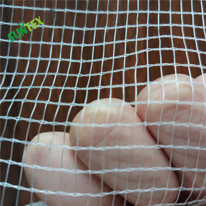 50gsm UV เสถียร Hdpe พลาสติกฟาร์มต้นไม้ป้องกันลูกเห็บตาข่าย,ตาข่ายหน้าจอทอปกป้องผลไม้จากลูกเห็บความเสียหาย - Product Image 6