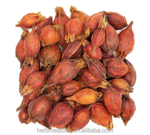 Frutti di Gardenia di Alta Qualità Zhi Zi, Grandi Frutti Naturali Essiccati di Gelsomino Capense, Gardenia Jasminoides Ellis in Vendita - Product Image 1