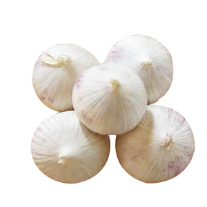 <span class=keywords><strong>Ail</strong></span> haut de gamme, nouveauté chinoise - Product Image 3