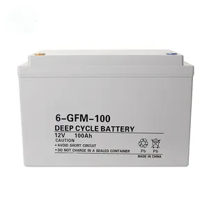 Batterie profonde del Ciclo 12v 100ah AGM Conservazione Della Batteria 100 ah